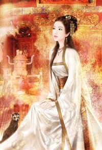 奇纹苍圣